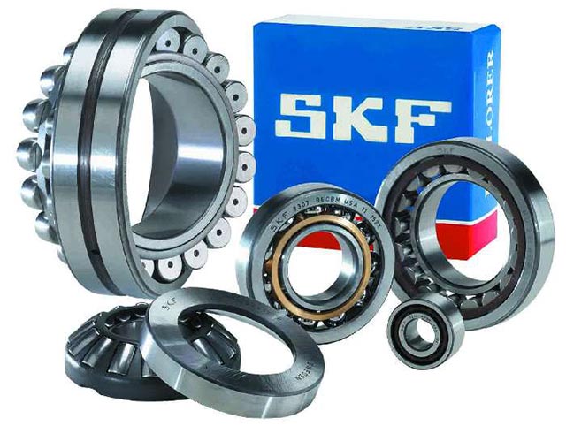 skf1 1 skf1 1