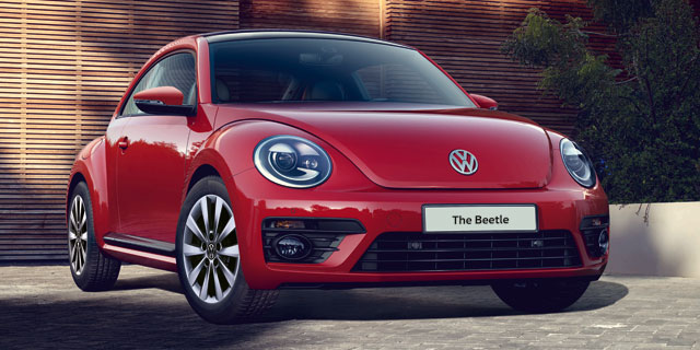 slider beetle 1