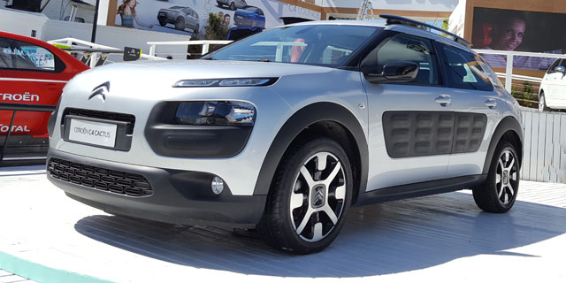slider c4cactus 1