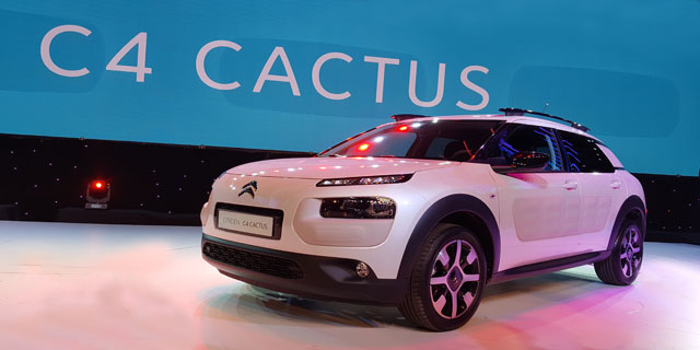 slider c4cactus 1