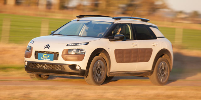 slider c4 cactus 1 slider c4 cactus 1
