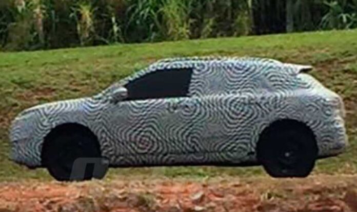 citroen c4 cactus brasil argentina 1
