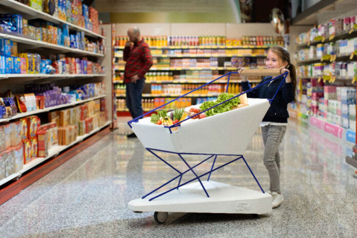 Carrito de Ford con Freno Autonomo 1