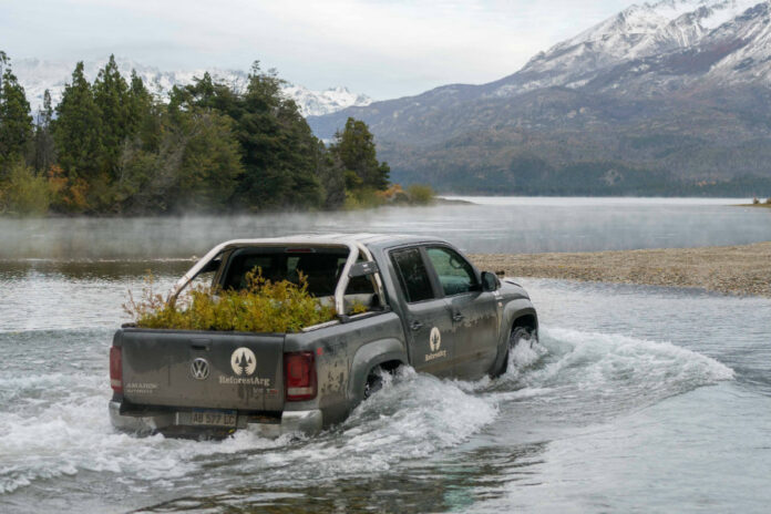 VW ReforestArg 1 1 VW ReforestArg 1 1