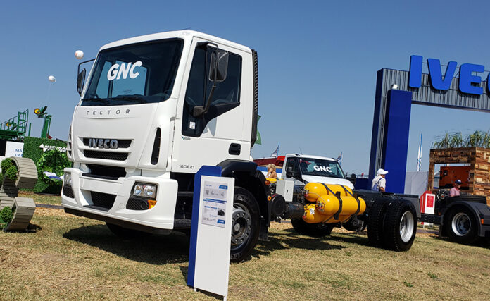iveco tector gnc argentina 1