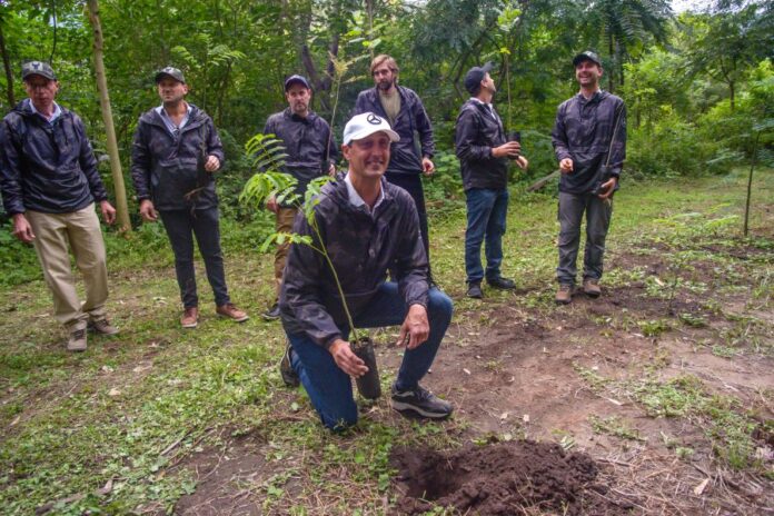 Raul Barcesat presidente de Mercedes Benz Camiones y Buses plantando una especie nativa