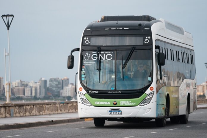 Mar del Plata testea buses urbanos Scania K280 a GNC 1