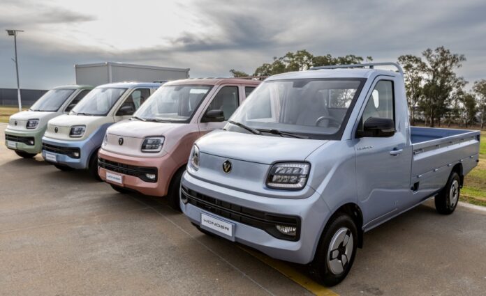 Foton Wonder - 1